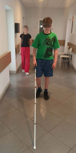 Projekt bez nazwy (5).png