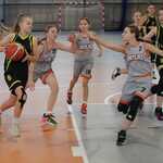 Basket Cup5.jpg