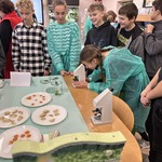 eco-pracownia2 (6).jpg