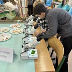 eco-pracownia2 (16).jpg