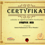 Synapsik_2023.png